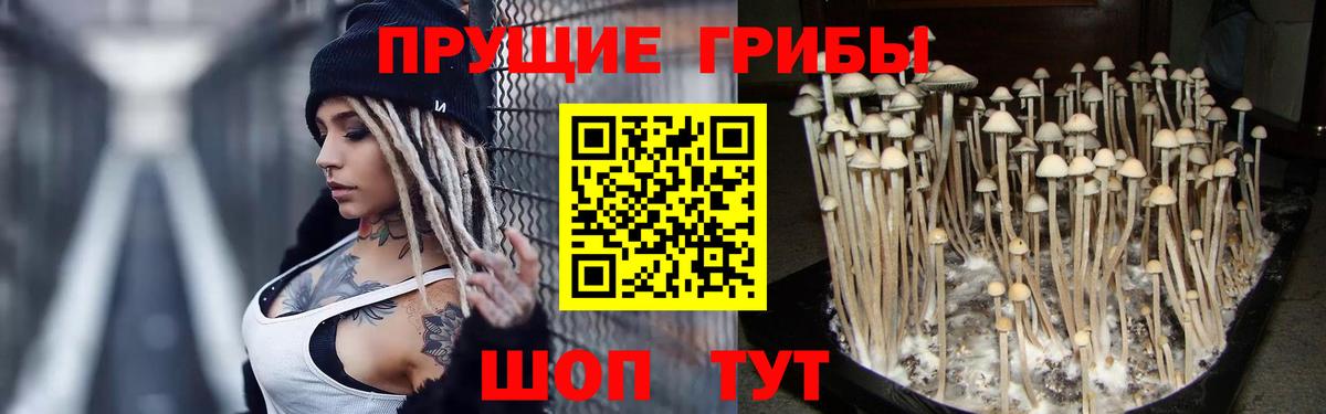 Галлюциногенные грибы мухоморы Реутов